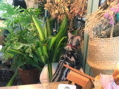 -小时光咖啡馆(北锣鼓巷店)