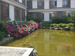 -太湖湾开元名庭大酒店