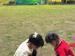 -洪湖家庭农场·团建·露营·会议