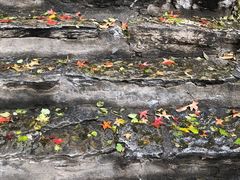 -北京上方山国家森林公园