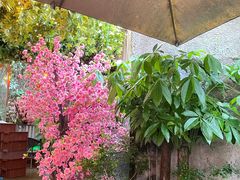 -鹅滋道(甘坑古镇店)