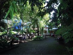 -Fern Forest Cafe