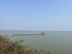 -贡湖湾湿地公园