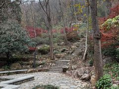 -潜山国家森林公园
