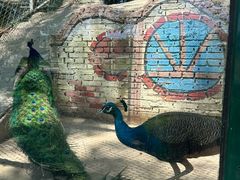 -北京鹿世界主题园