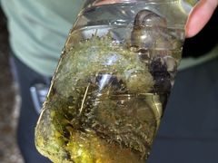 -青岛第三海水浴场