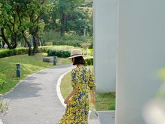 -四海公园(南山区)