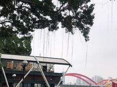 -珠江夜游省总码头