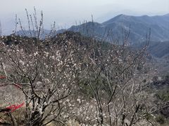 -天津盘山风景名胜区