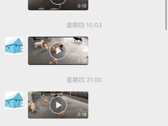 -宠物之家Pets Home 宠物寄养酒店