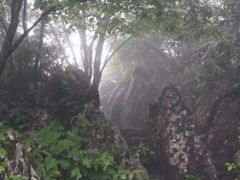 android_upload_pic-摩围山景区