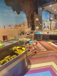 -卡通尼·Safari非洲探索乐园·生日会(金桥国际商业广场店)