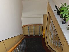 -瑞派天使宠物医院·神经外科·骨科·核磁(洛川中路店)