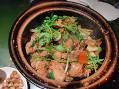 沙姜嗜鸡-煲煲好(朝阳门店)
