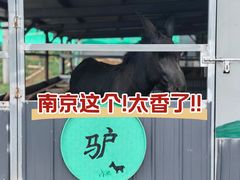 -元鼎宝驴香·全驴宴(江宁店)