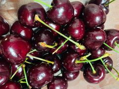 -沐王府水会(中欣广场店)