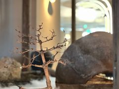 -元古雲境(南京万象天地店)