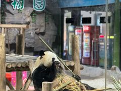 -栾川竹海野生动物园