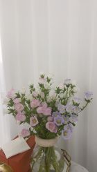 -白月光皮肤管理·德国LDM