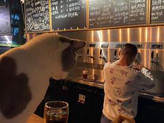-后院儿·精酿·塔罗Happy Bar