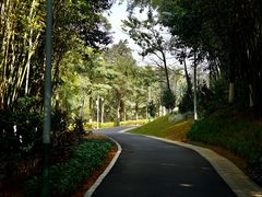 -玉树公园
