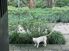 -法云安缦酒店
