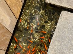 -邈墨茶馆(凤起路店)