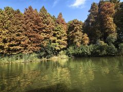 -溱湖国家湿地公园