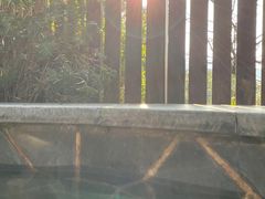 -唐风温泉