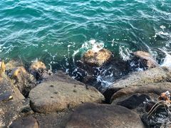 -越海渔村
