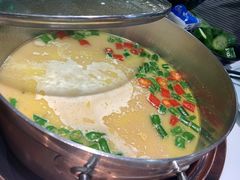 -洪氏嗨捞·猪肚鸡火锅(阳光天地店)