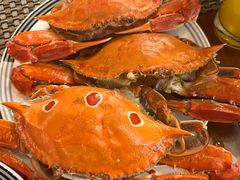 -北京新世纪饭店(动物园地铁站店)