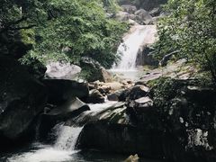 -大鄣山卧龙谷景区