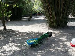 -宁波野生动物园