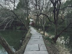 -西溪国家湿地公园