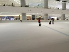 -TheRink大零溜冰场(IFS国金中心店)