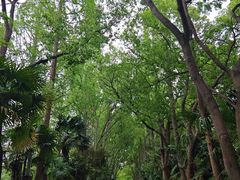 -同里国家湿地公园