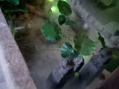 -老宁波1381餐厅(宏泰广场店)