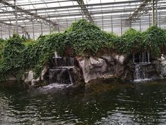 -晶宝温泉农庄