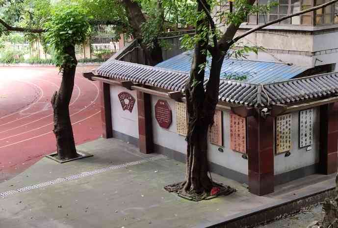 杨家坪小学-"【vip年终盛典】杨家坪小学是有名的书."-大众点评移动版