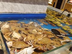 -川骄海鲜自助(河东店)