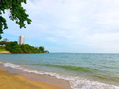 -卷心菜和避孕套餐厅(Pattaya)