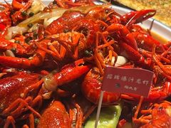 -杨氏青龙虾·羊蝎子(托乐嘉店)