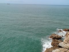 -广东惠东海龟国家级自然保护区