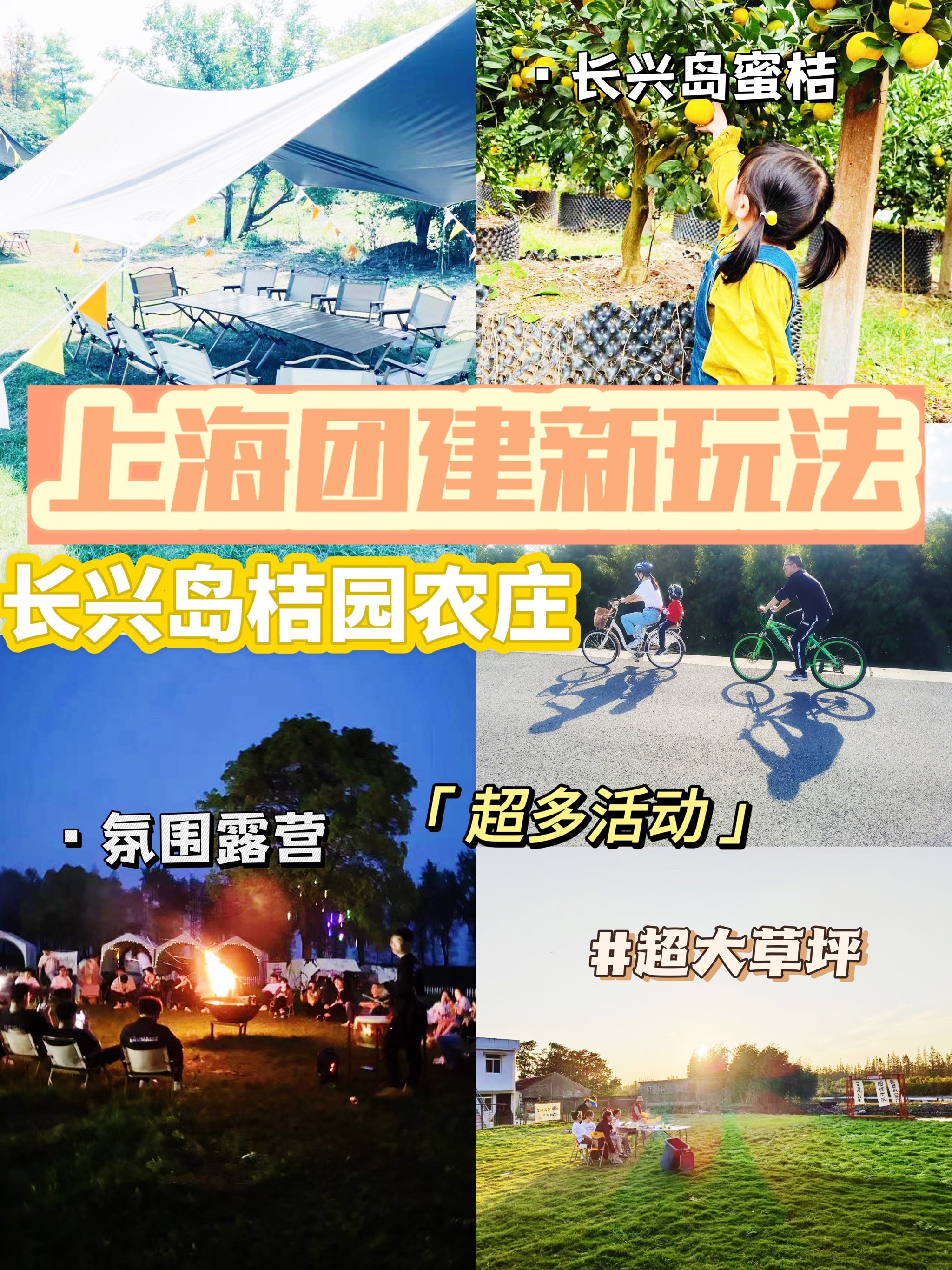 上海长兴岛桔园基地图片