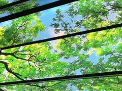 -水云空涧·沐足·采耳·按摩·SPA影院(琶洲店)