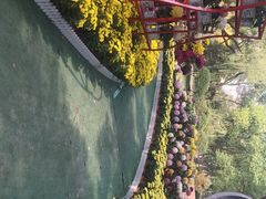 -上海市龙华烈士陵园