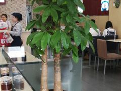 大堂-李先生牛肉面大王(营口大润发店)