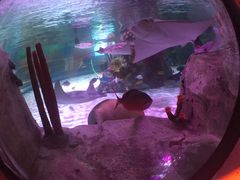 -沈阳海洋探索中心