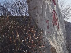 -梅园